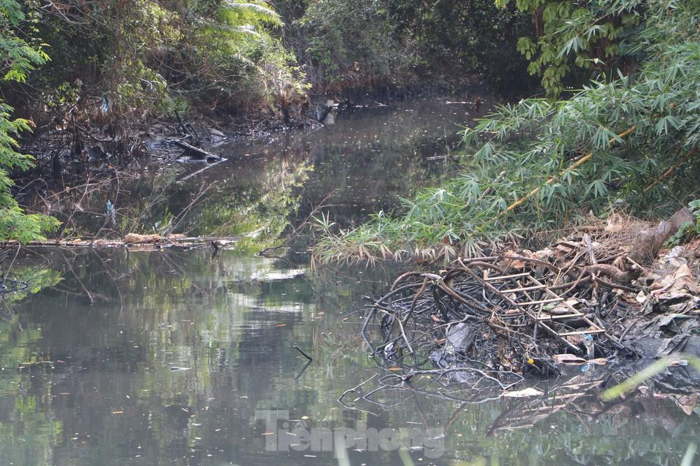 Tình trạng ô nhiễm sông Dương Đông có nhiều nguyên nhân. Tình trạng ô nhiễm sông Dương Đông có nhiều nguyên nhân.