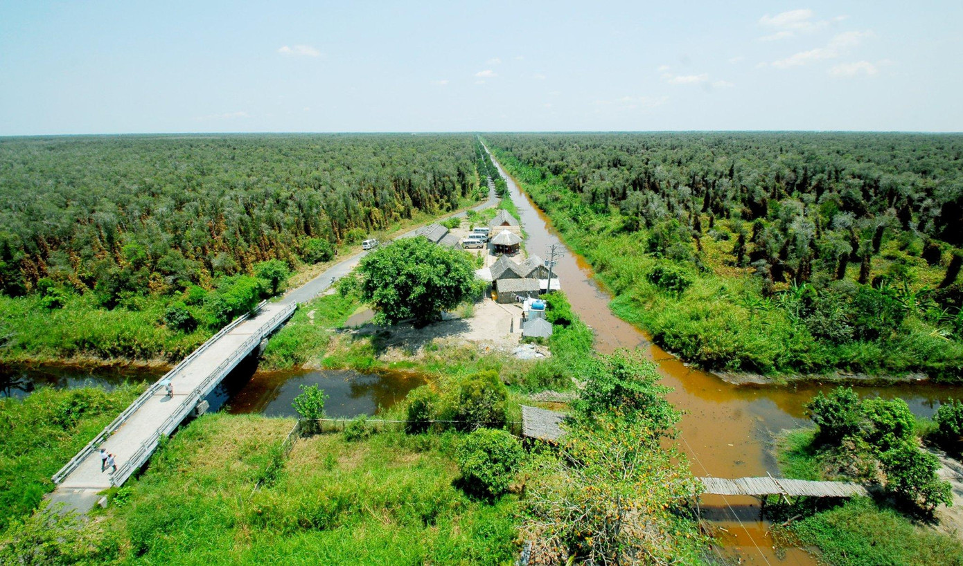 Đến với Cà Mau trong dịp này, du khách có dịp trải nghiệm các hoạt động thể dục thể thao như đi bộ xuyên rừng U Minh Hạ...