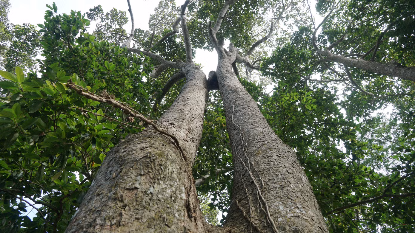 Năm 1994, Ao Bà Om được Bộ Văn hóa, Thông tin (nay là Bộ Văn hóa, Thể thao và Du lịch) công nhận là di tích lịch sử cấp quốc gia.