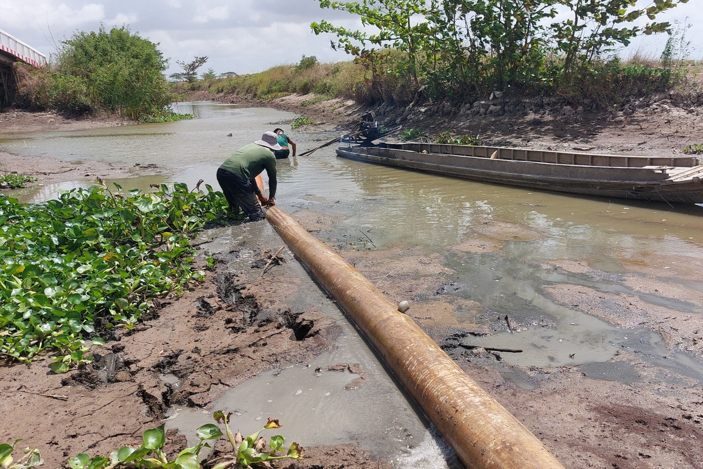 Một số kênh, rạch cạn nước.