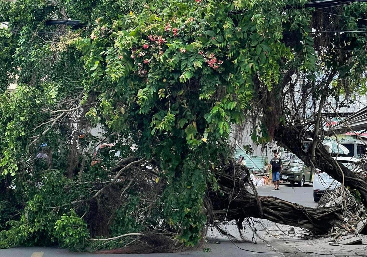 Theo Ban Chỉ huy phòng chống thiên tai, tìm kiếm cứu nạn và phòng thủ dân sự TP. Phú Quốc, từ đêm 17/12 đến chiều nay (18/12), Phú Quốc chịu ảnh hưởng của gió giật mạnh và thủy triều dâng khiến 16 căn nhà ở bị tốc mái, 2 căn nhà bị sập; hai tàu cá bị chìm tại bến và một tàu cá bị sóng đánh dạt vào bờ. Tổng giá trị thiệt hại về tài sản khoảng 1,7 tỷ đồng.