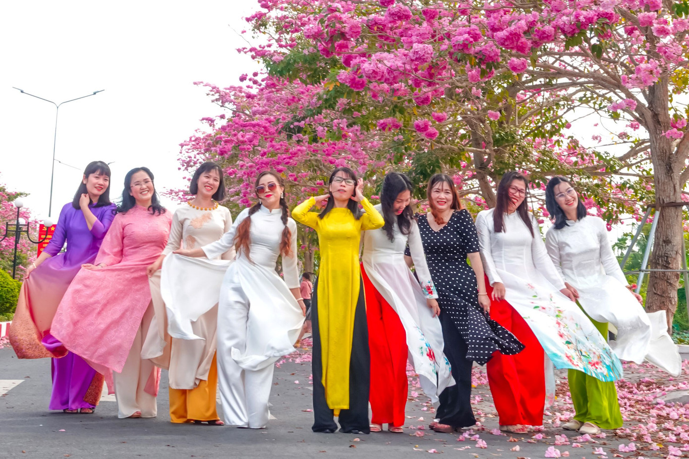 Đông đảo du khách từ khắp nơi đổ về tham quan, chụp ảnh dưới những tán kèn hồng rực rỡ.