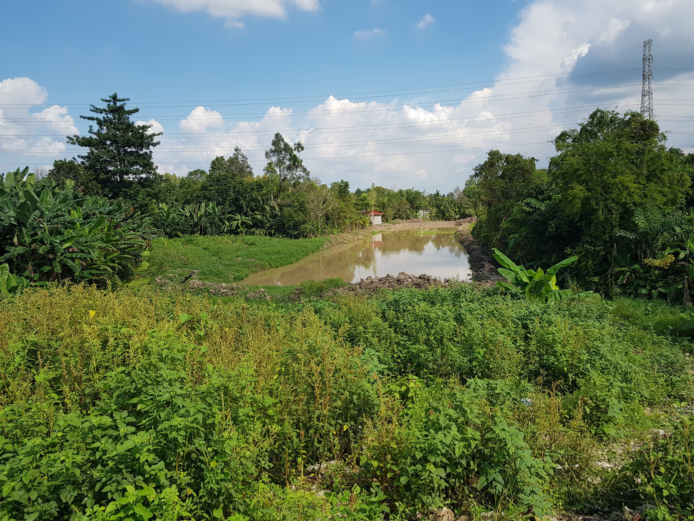 Việc di dời phần rác chắn cao tốc Cần Thơ - Cà Mau phải hoàn thành trong năm 2024. Ảnh: Nhật Huy Việc di dời phần rác chắn cao tốc Cần Thơ - Cà Mau phải hoàn thành trong năm 2024. Ảnh: Nhật Huy