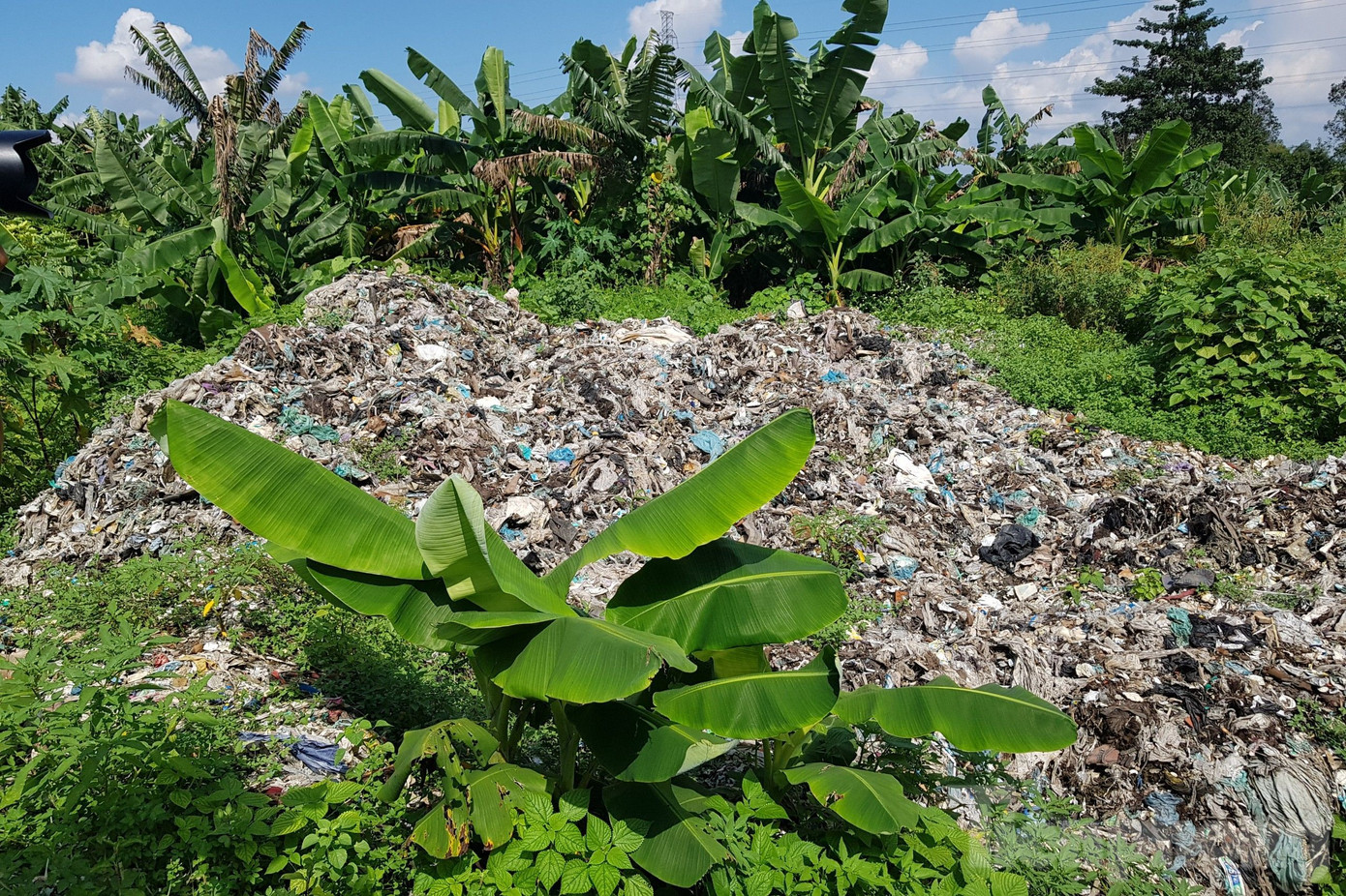 Bãi rác có diện tích 30.000m2. Ảnh: Nhật Huy Bãi rác có diện tích 30.000m2. Ảnh: Nhật Huy