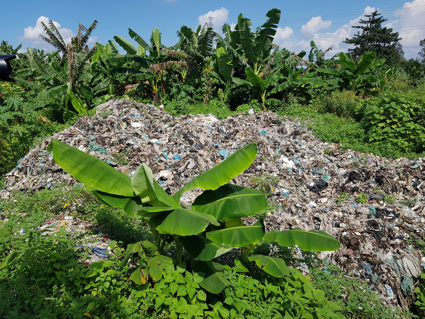 Bãi rác chắn cao tốc Cần Thơ - Cà Mau. Bãi rác chắn cao tốc Cần Thơ - Cà Mau.