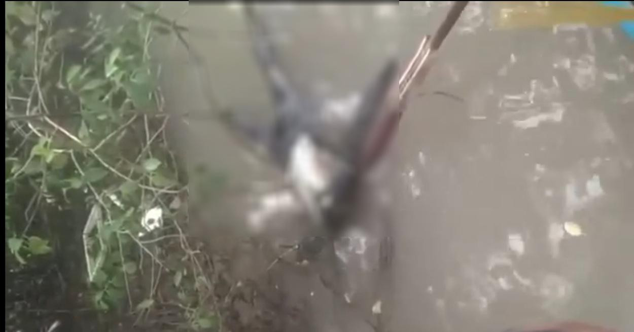 Thi thể không có đầu đang trong tình trạng phân hủy. Thi thể không có đầu đang trong tình trạng phân hủy.