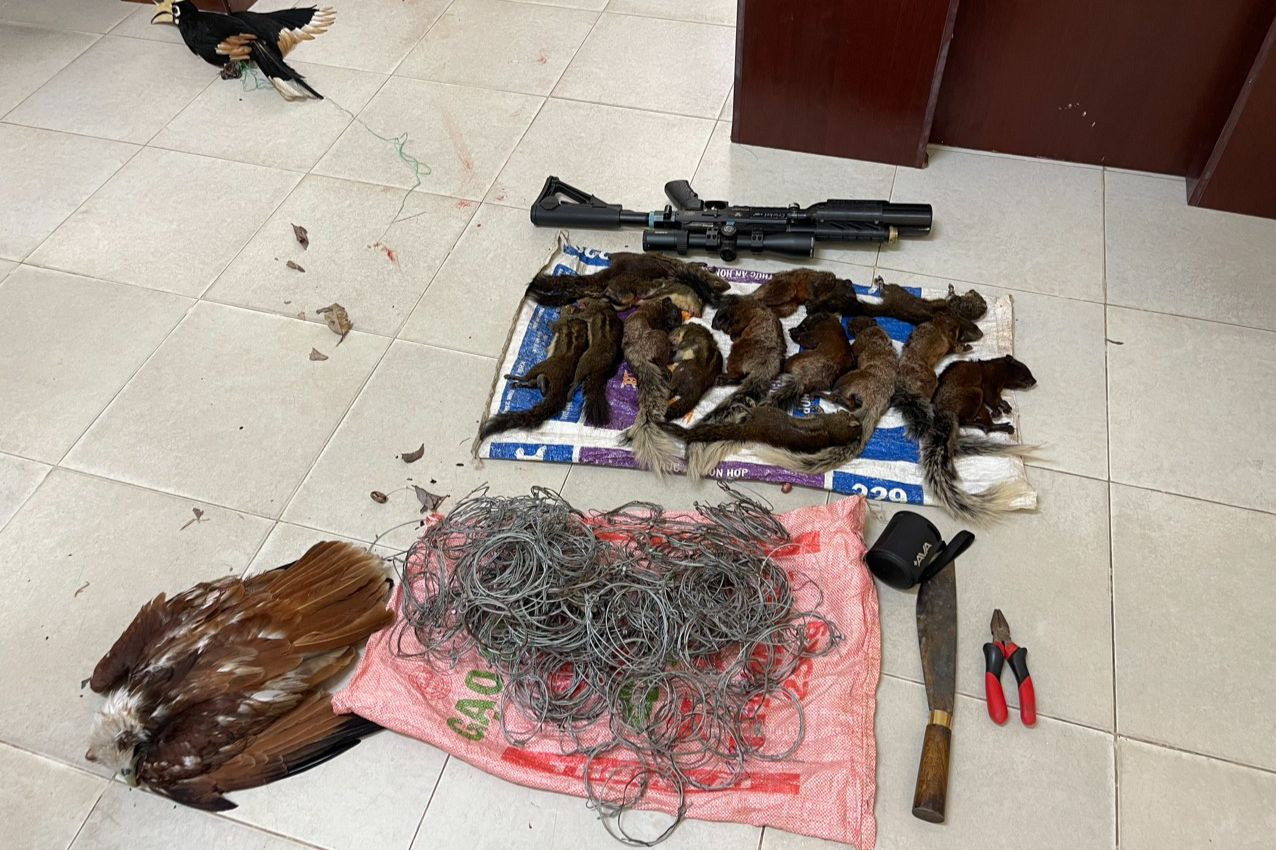 Tang vật bị lực lượng chức năng tạm giữ. Tang vật bị lực lượng chức năng tạm giữ.