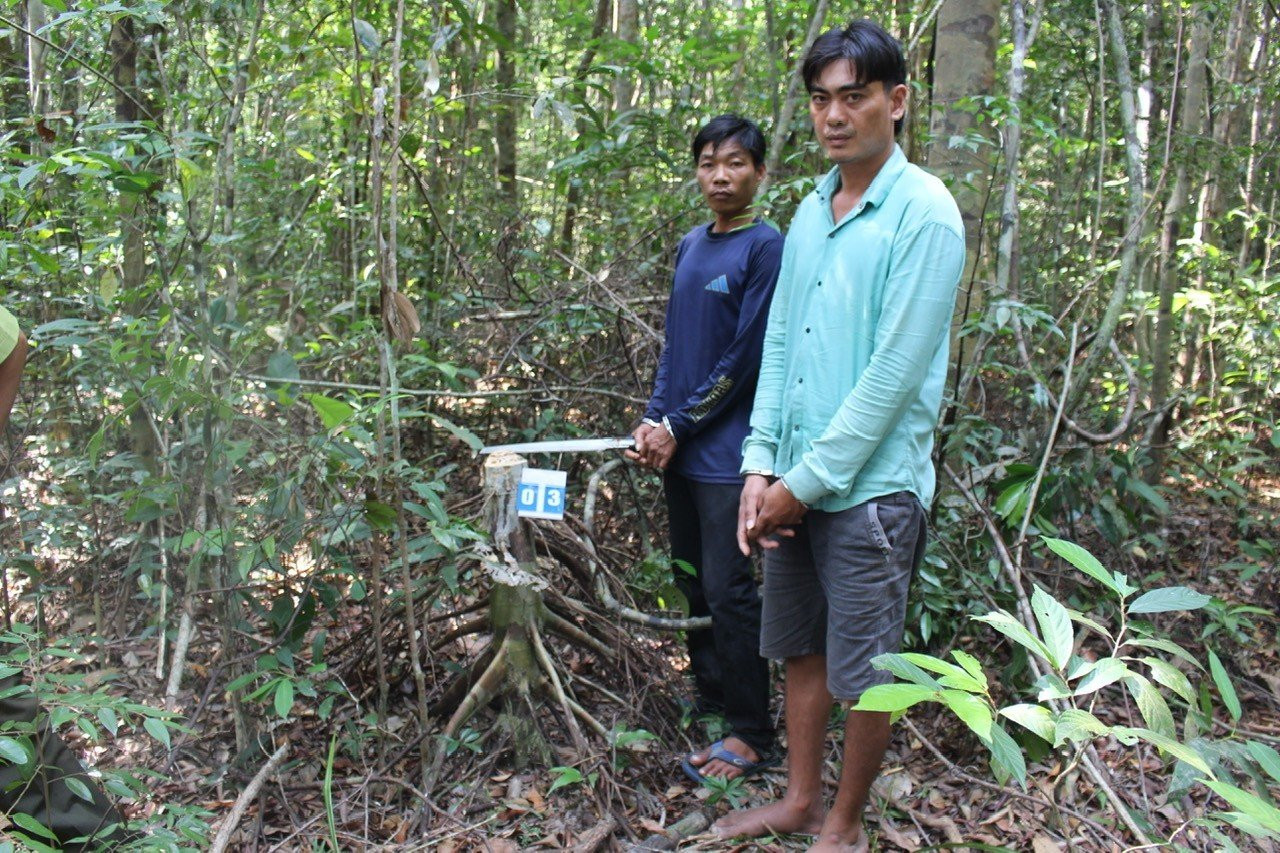 Hai trong nhóm đối tượng khai thác gỗ trái phép bị bắt. Hai trong nhóm đối tượng khai thác gỗ trái phép bị bắt.