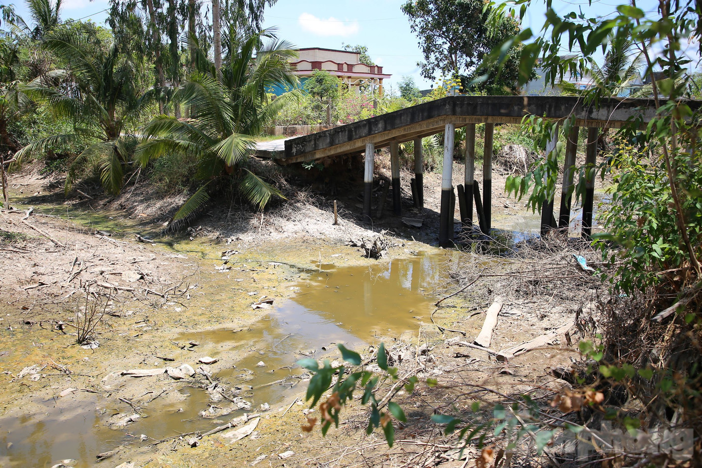 Nhiều tuyến kênh trên địa bàn tỉnh Tiền Giang khô cạn. Nhiều tuyến kênh trên địa bàn tỉnh Tiền Giang khô cạn.