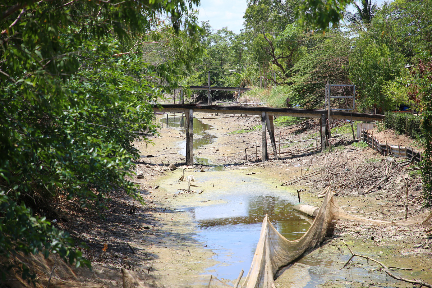 Trao đổi với Tiền Phong, ông Nguyễn Văn Quí – Trưởng phòng Nông nghiệp và Phát triển nông thôn huyện Gò Công Đông cho biết, trước Tết Nguyên đán, trong vùng ngọt hoá Gò Công có nguồn nước nội đồng, nước máy cũng dồi dào. Tuy nhiên, cuối tháng 2/2024, tình hình xâm nhập mặn diễn biến phức tạp nên hệ thống cống ngăn mặn khép kín. Bên cạnh đó, diện tích cây ăn trái, hoa màu trên địa bàn huyện cần lượng nước lớn để tưới, làm mực nước các kênh trong vùng ngọt hoá xuống nhanh. Ngoài ra, nắng nóng kéo dài nên gây ra tình trạng khô, cạn nước mặt trên các kênh nội đồng.