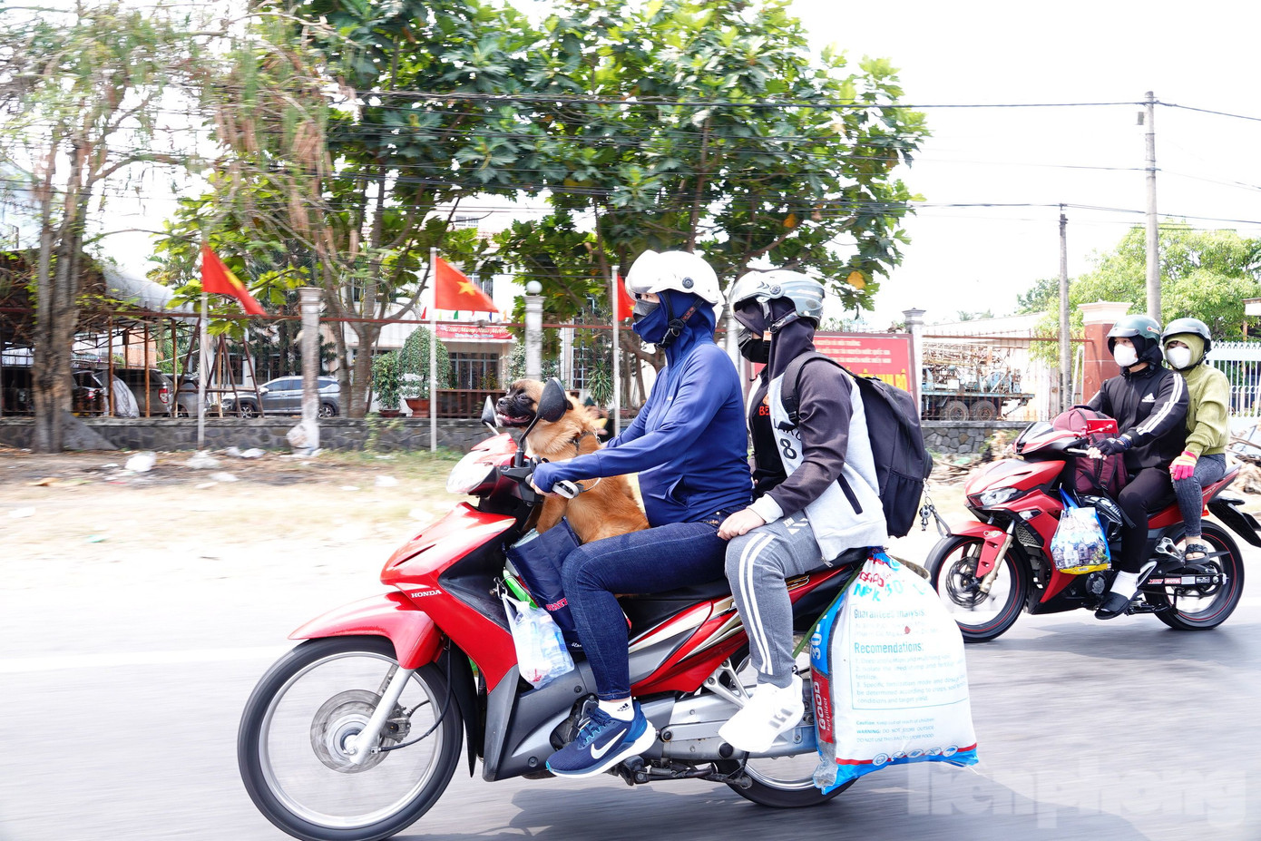 Một số bạn trẻ còn mang cả thú cưng về cùng.