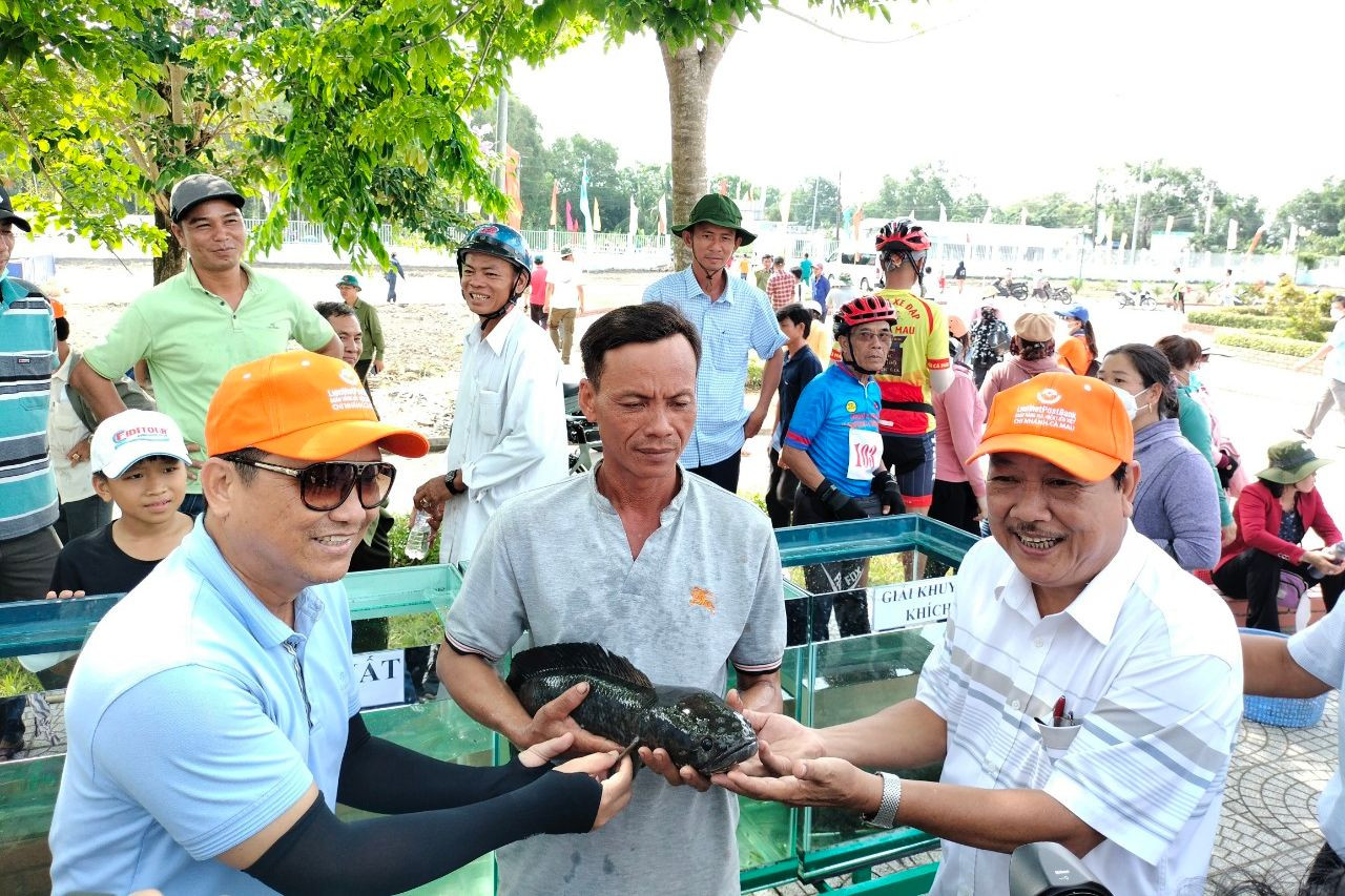 Cuộc thi cá lóc to nhất tại Vườn Quốc gia U Minh Hạ thu hút đông đảo khách tham quan. Ảnh: PV. Cuộc thi cá lóc to nhất tại Vườn Quốc gia U Minh Hạ thu hút đông đảo khách tham quan. Ảnh: PV.