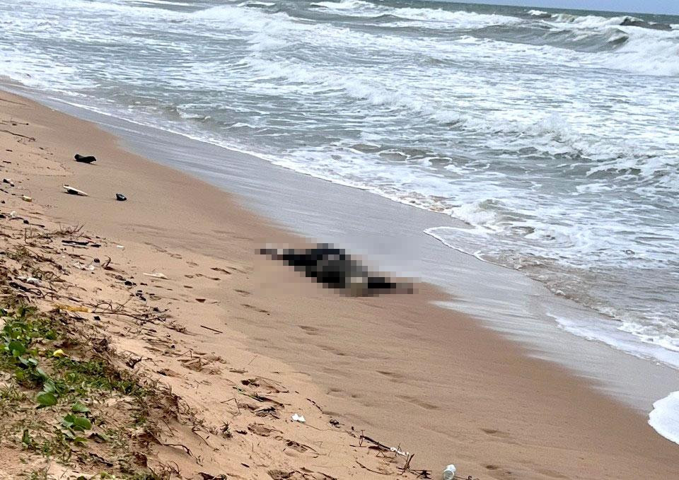 Thi thể trôi dạt vào biển Bãi Trường. Ảnh: Phương Vũ.