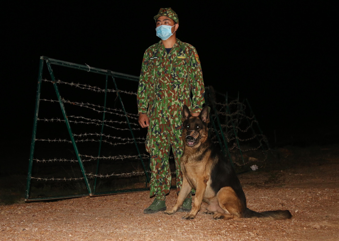 Chó nghiệp vụ cũng được tăng cường trong quá trình tuần tra.