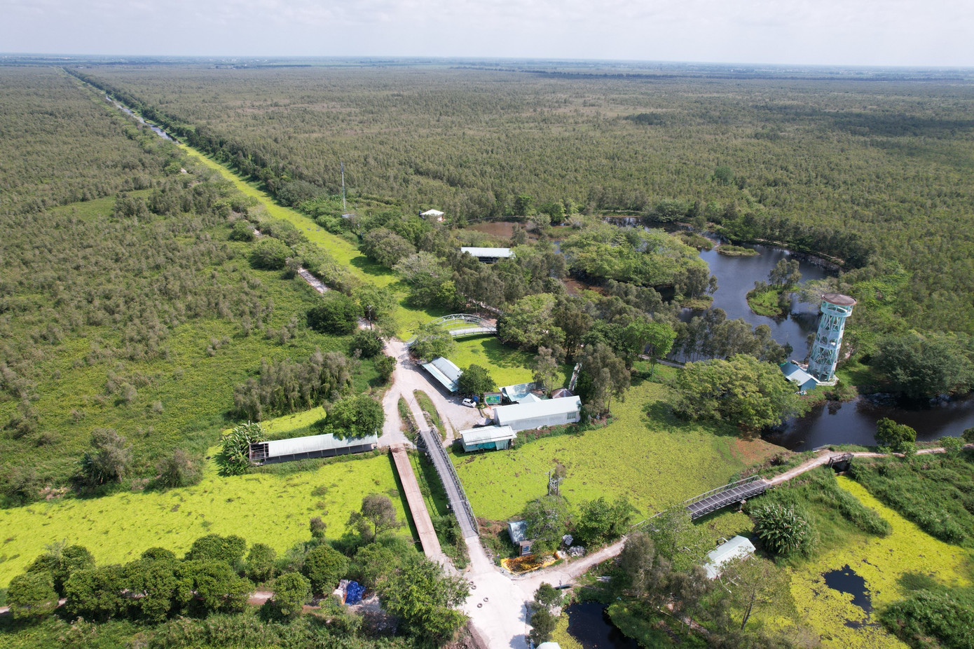 Người đứng đầu chịu trách nhiệm trước Chủ tịch UBND tỉnh Kiên Giang nếu để xảy ra cháy rừng lớn, nghiêm trọng. Người đứng đầu chịu trách nhiệm trước Chủ tịch UBND tỉnh Kiên Giang nếu để xảy ra cháy rừng lớn, nghiêm trọng.