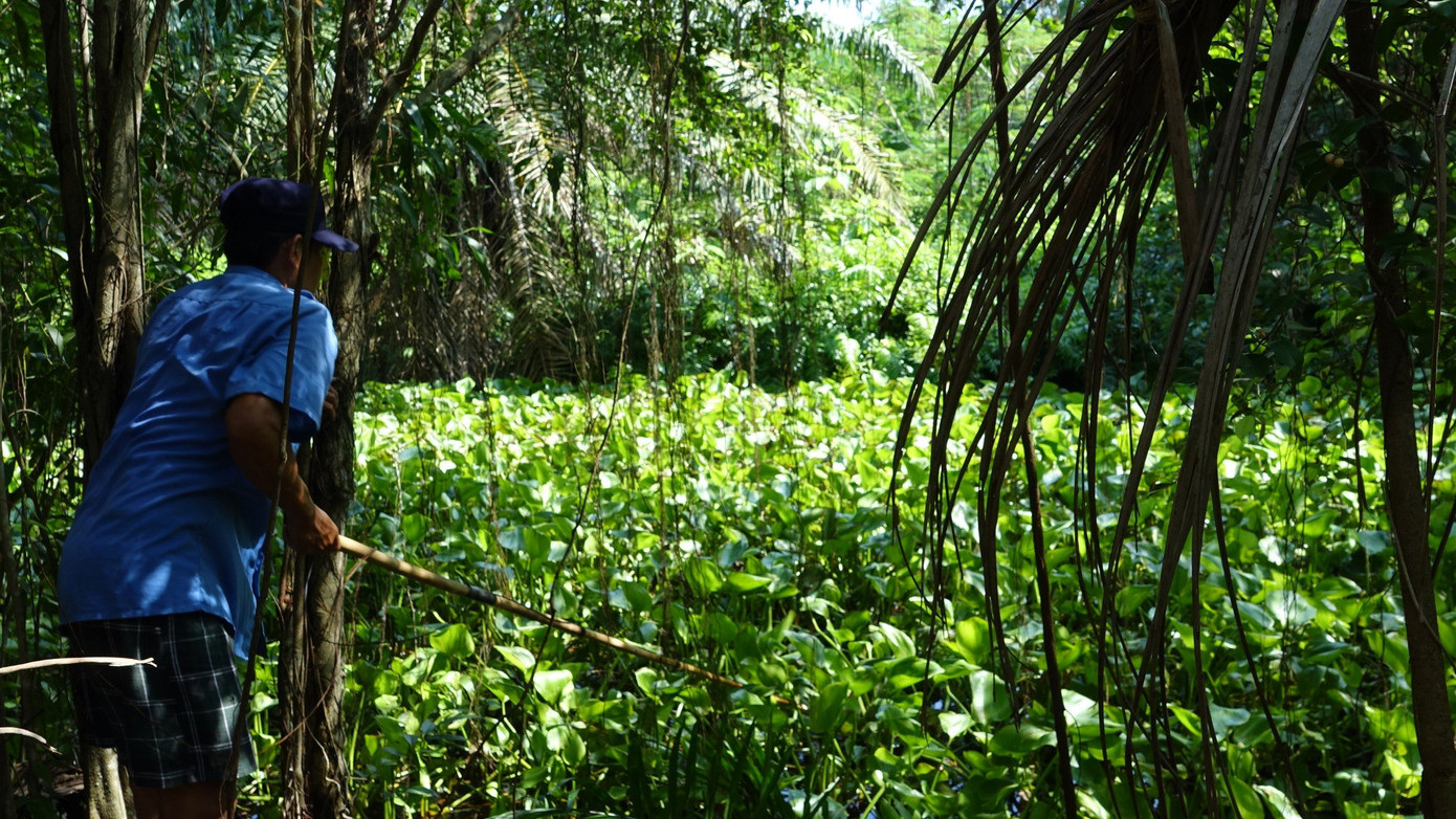 Lực lượng chức năng đang tìm cách bắt 4 con cá sấu còn lại. Lực lượng chức năng đang tìm cách bắt 4 con cá sấu còn lại.