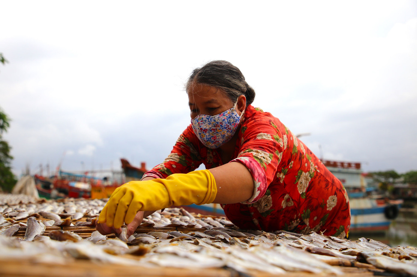 Hơn 20 năm trong nghề, bà Lê Thị Kim Nga (50 tuổi, người dân ấp Cảng) cho biết, người dân xứ biển làm cá khô quanh năm, nhưng tập trung nhiều vào vụ Tết, nhờ đó thu nhập của bà con nơi đây được cải thiện.