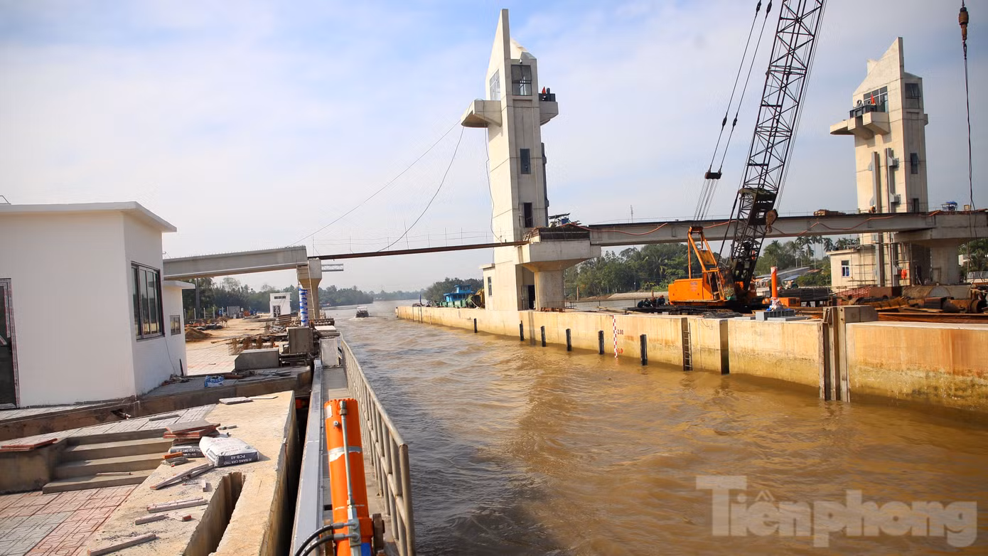 Cống có chiều rộng thông nước 85m, gồm 2 khoang cống. Mỗi khoang rộng 35m và 1 khoang âu thuyền rộng 15m. Ngoài ra, còn có các công trình phụ trợ như nhà quản lý, hệ thống quan trắc giám sát tự động, bờ kè. Kinh phí đầu tư trên 500 tỷ đồng.