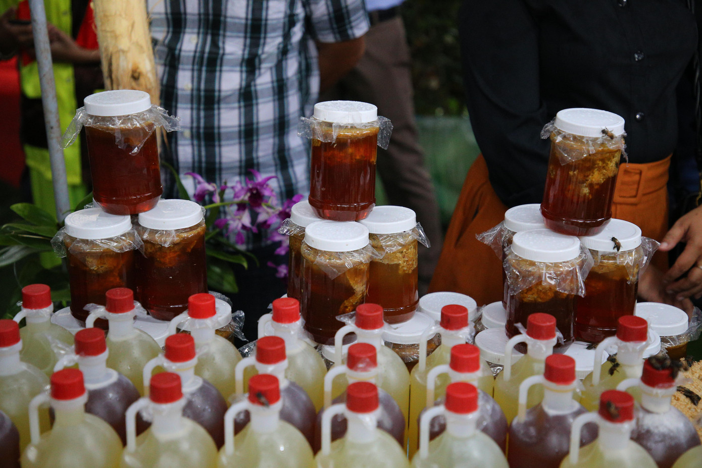 Mật ong rừng U Minh Hạ.