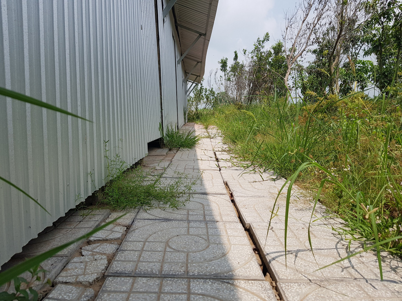 Nhà kết cấu khung sắt, mái tôn và lót gạch. Ảnh: Nhật Huy.