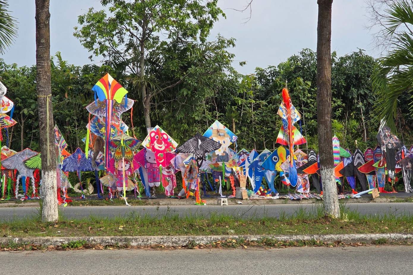 Dọc 2 bên đường vào các bãi diều, rất đông gian hàng bán diều đủ mọi kích cỡ, màu sắc.