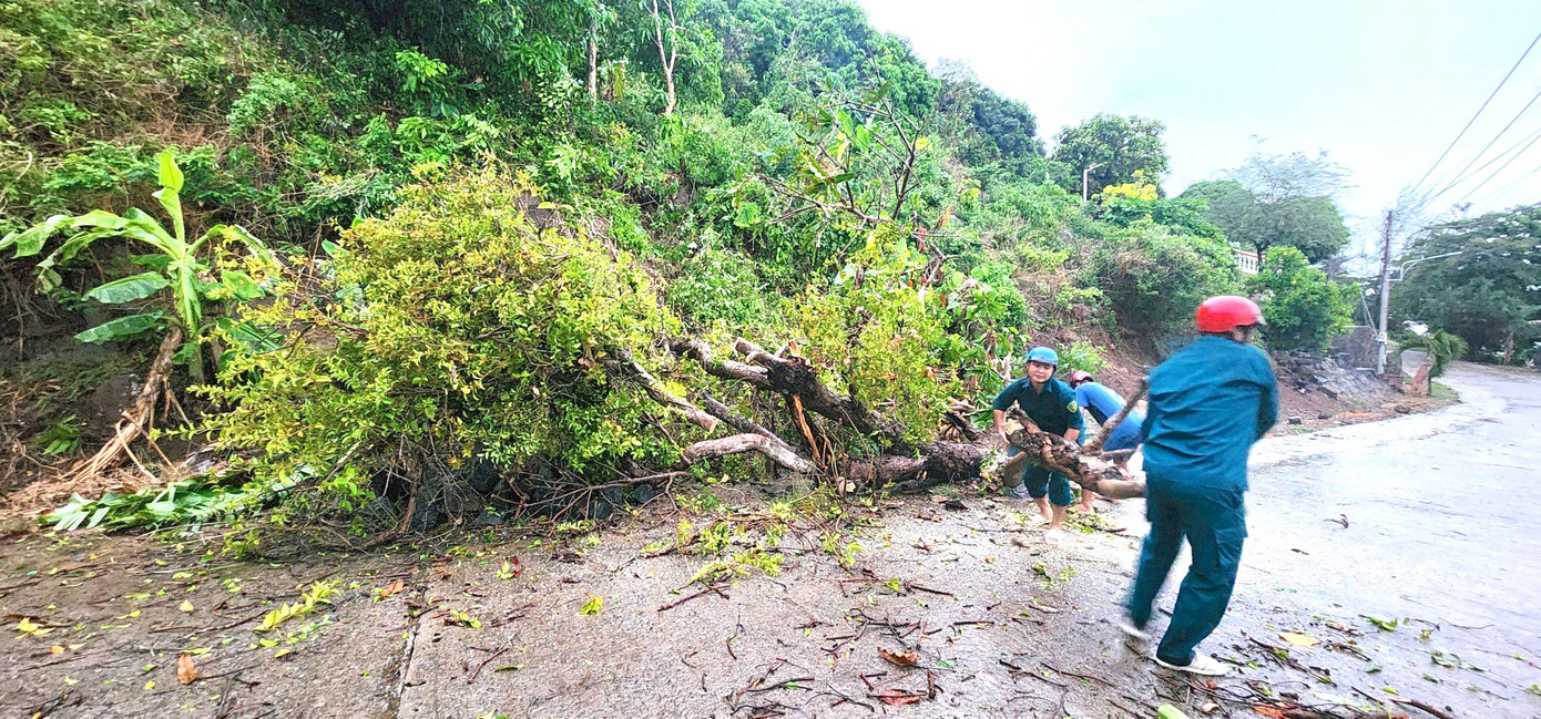 Nhiều cây xanh ngã đổ. Nhiều cây xanh ngã đổ.