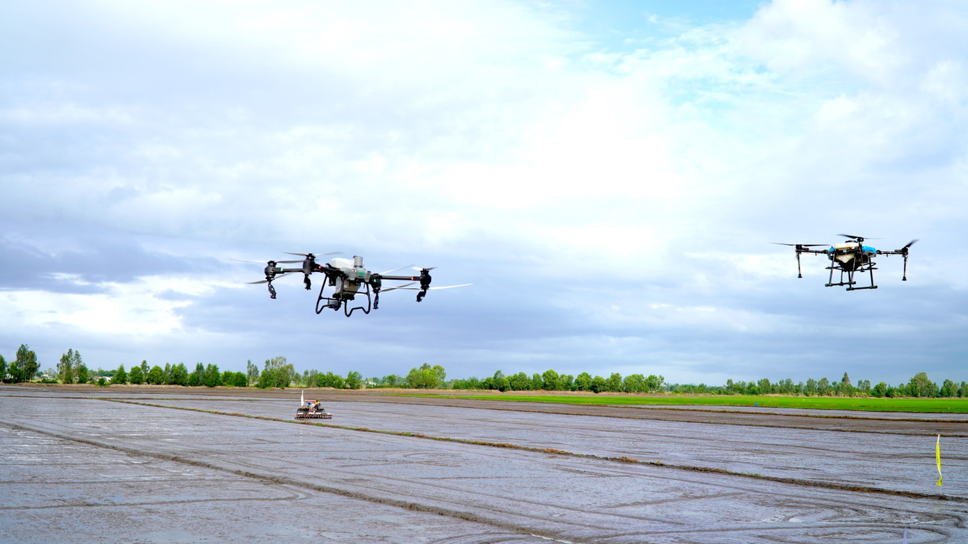 Trình diễn phương tiện, thiết bị công nghệ mới trong sản xuất lúa chất lượng cao tại Kiên Giang.