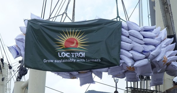 Tập đoàn Lộc Trời tố nguyên Tổng giám đốc Công ty gây thất thoát tài sản.