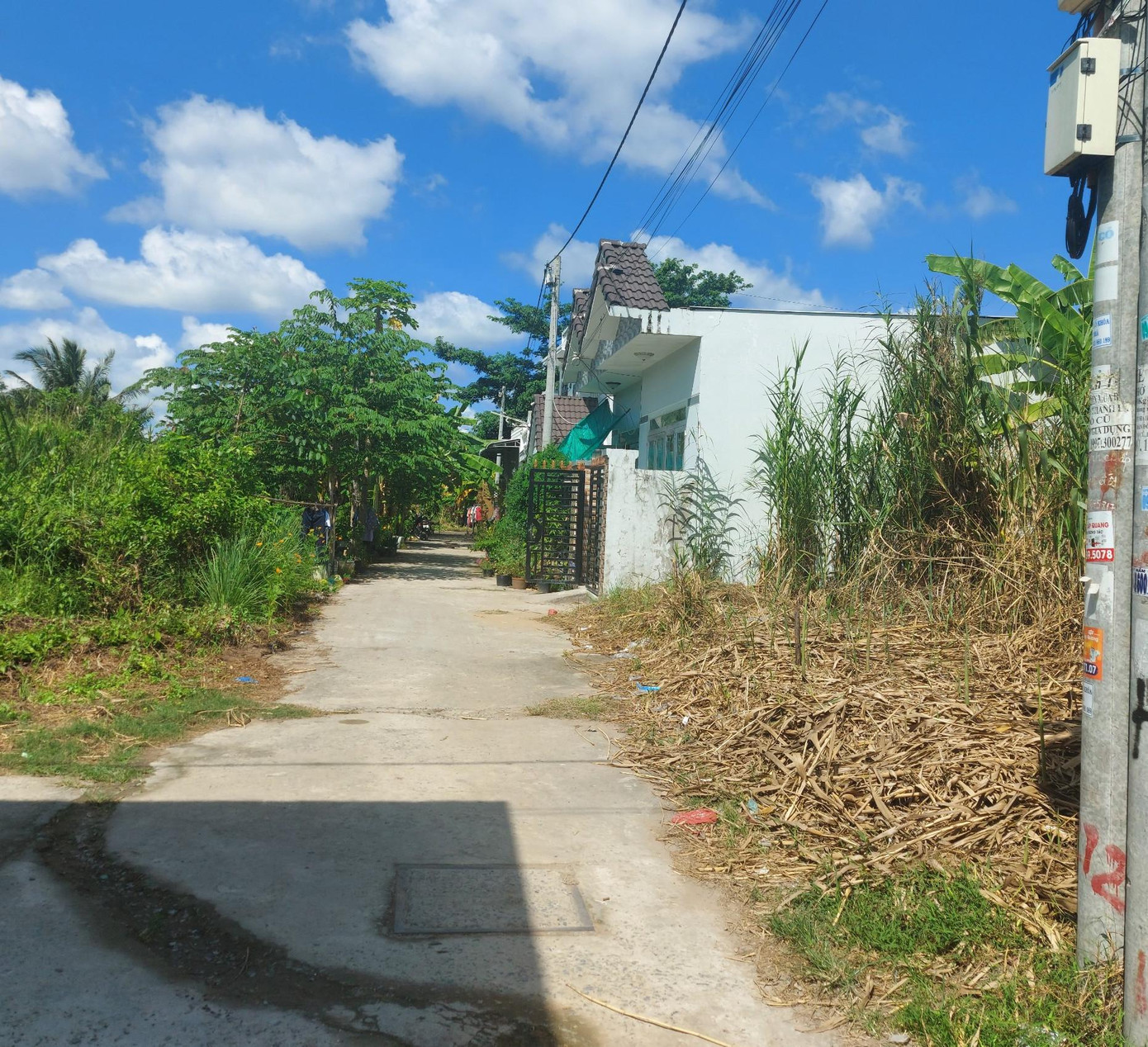 Người dân TP. Cần Thơ vừa gửi đơn khiếu nại một thửa đất trên địa bàn phường An Bình, quận Ninh Kiều.