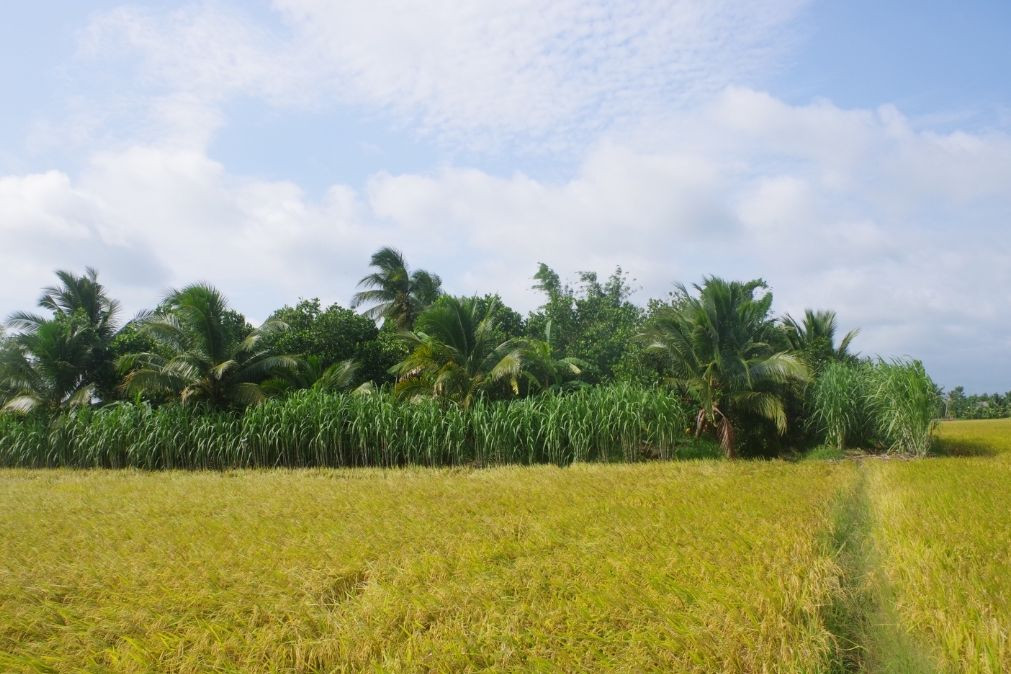 Hiện trường nơi xảy ra vụ việc. Ảnh: A.X Hiện trường nơi xảy ra vụ việc. Ảnh: A.X