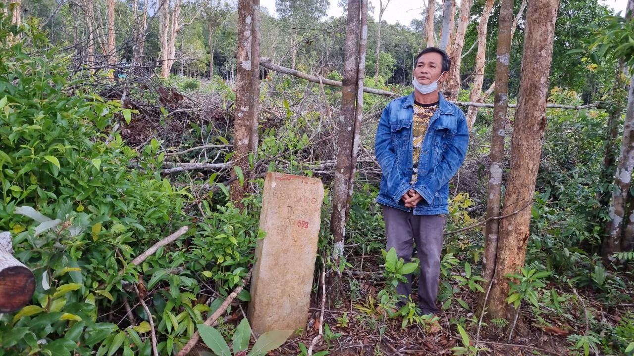 Bị can Tranh phá rừng bao chiếm đất.