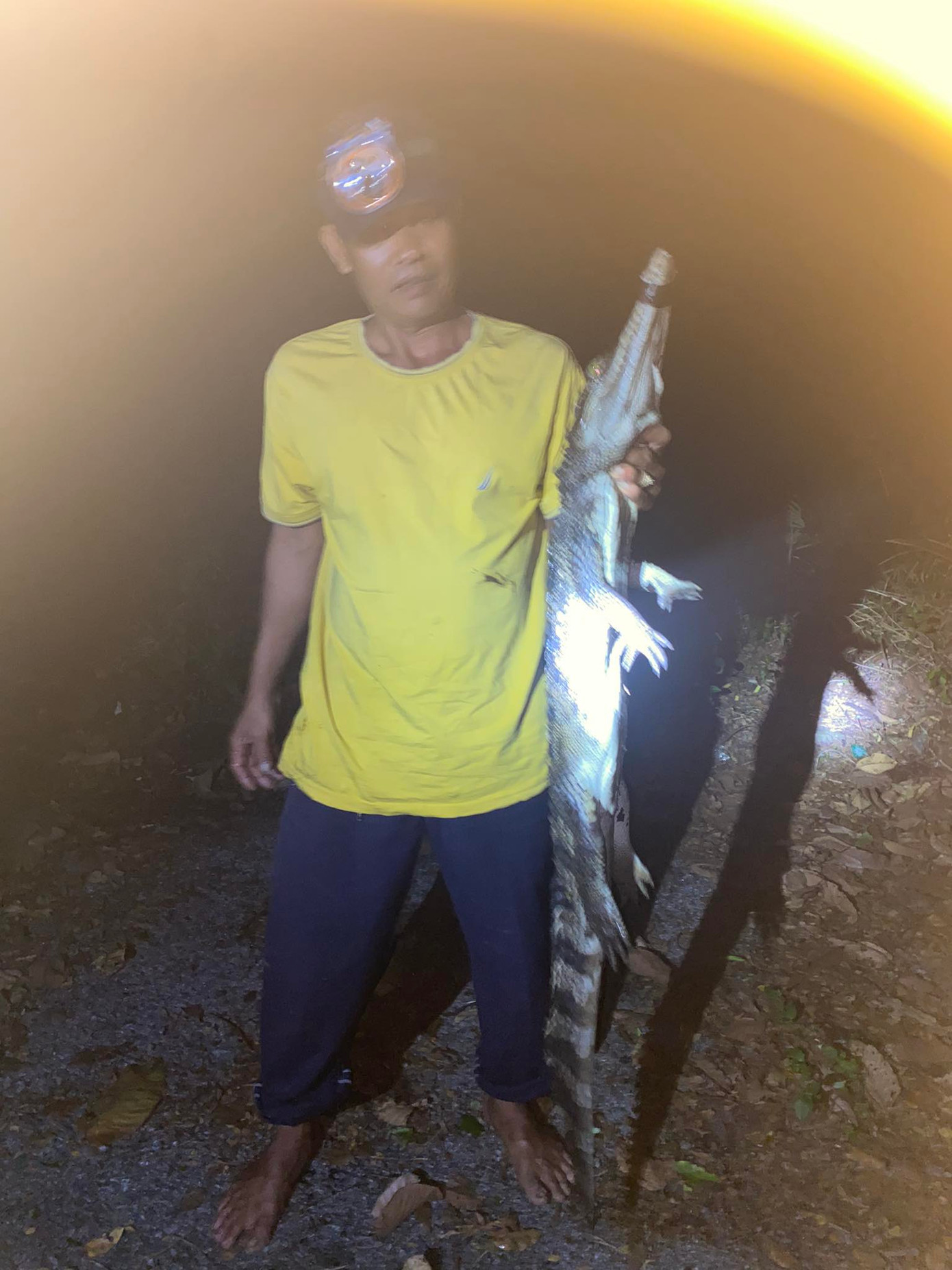 Đến nay đã bắt được 7/8 con cá sấu sổng chuồng. Đến nay đã bắt được 7/8 con cá sấu sổng chuồng.