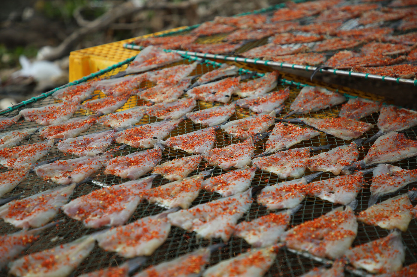 "Thị trấn có trên 14 hộ mua bán khô các loại, trong đó có nhiều gia đình đã gắn bó lâu năm với nghề làm cá khô và xem đây là nguồn thu nhập chính. Nhờ duy trì và phát triển nghề mà thời gian qua nhiều hộ gia đình tại đây có cuộc sống ổn định, vươn lên khá giả. Bên cạnh đó, nghề làm cá khô còn giải quyết công ăn việc làm cho nhiều lao động tại địa phương", đại diện UBND thị trấn Trần Đề cho hay.