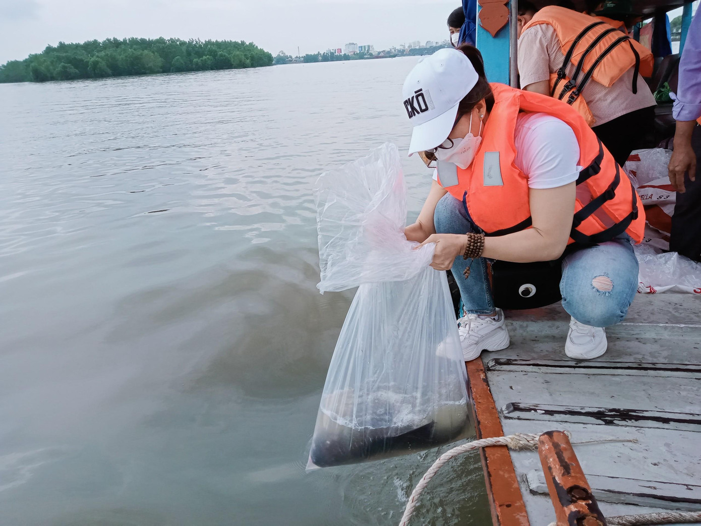 150.000 con cá được thả xuống sông Hậu.