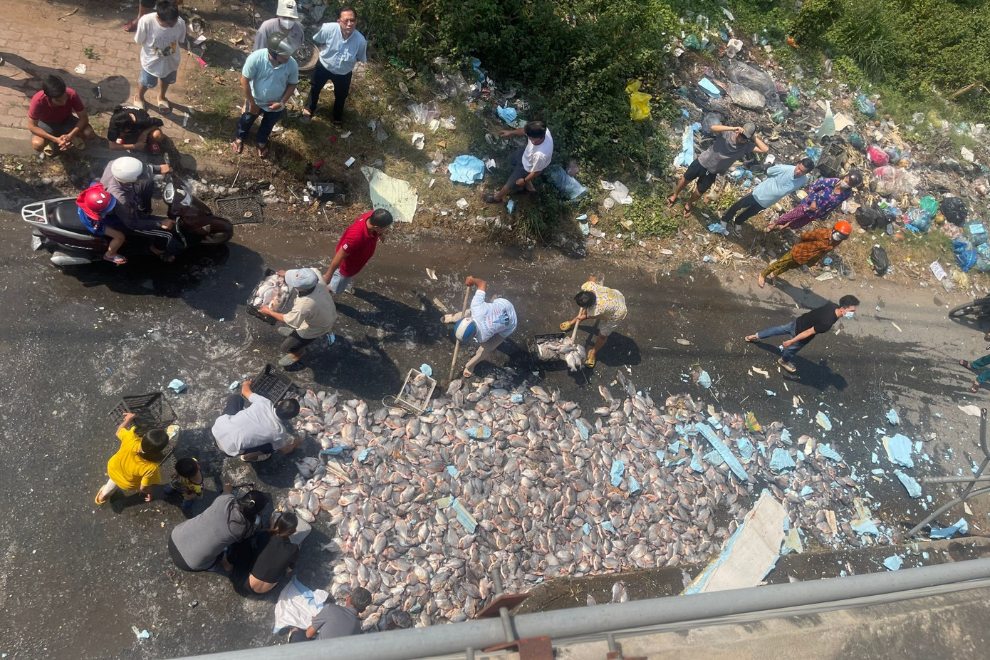 Người dân giúp tài xế thu gom số cá đổ xuống đường.