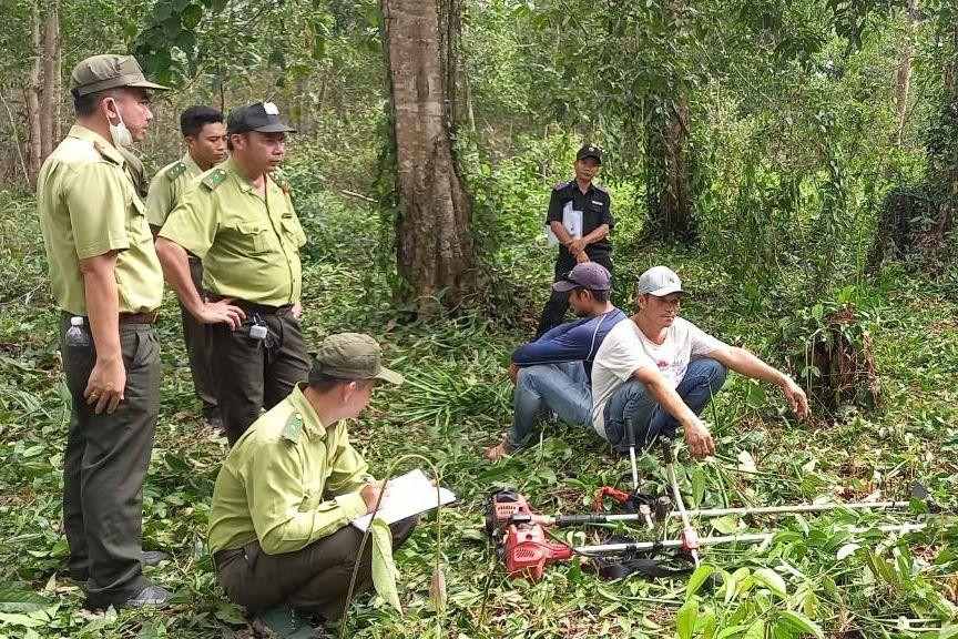 Ngày 27/10, lực lượng chức năng đã bắt quả tang 2 đối tượng dùng máy cắt, chặt phá cây rừng với diện tích gần 2.000m2 ở xã Cửa Cạn, Phú Quốc.
