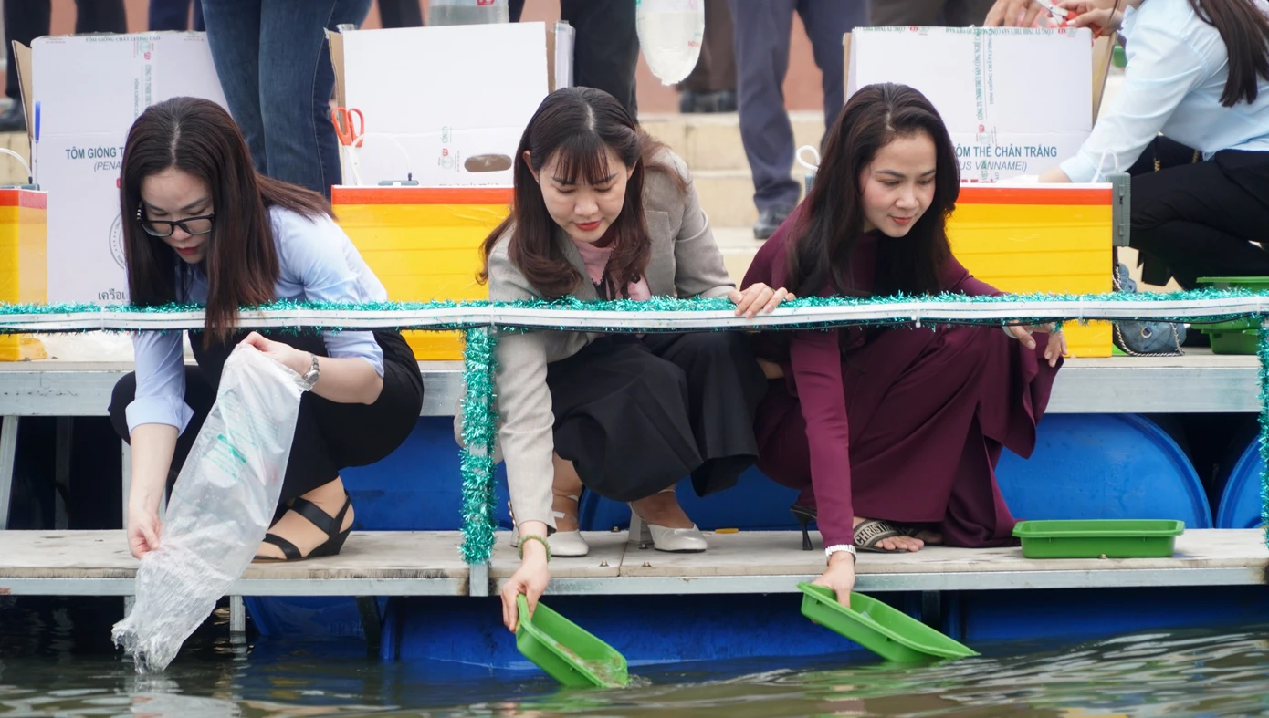 Thả con giống tái tạo nguồn lợi thủy sản tại đầm Đông Hồ, TP. Hà Tiên.