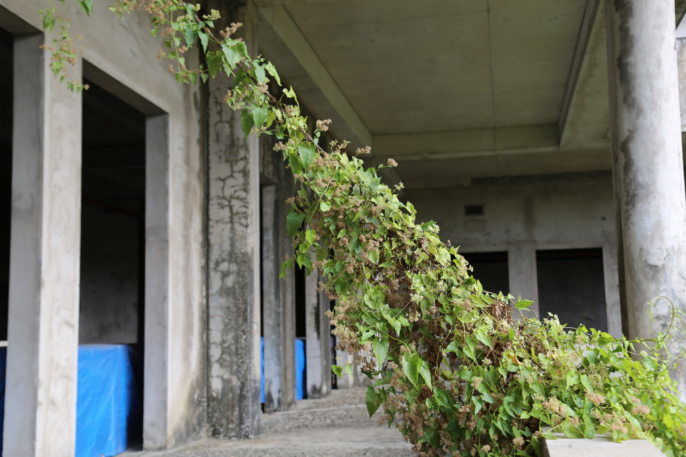 Hiện, lãnh đạo UBND TP. Cần Thơ, chủ đầu tư, nhà thầu đang bàn thảo phương án báo cáo Chính phủ tìm cách tháo gỡ những vướng mắc để dự án khởi động trở lại. Lãnh đạo Chính phủ cũng có nhiều cuộc kiểm tra, làm việc để tháo gỡ cho dự án này.