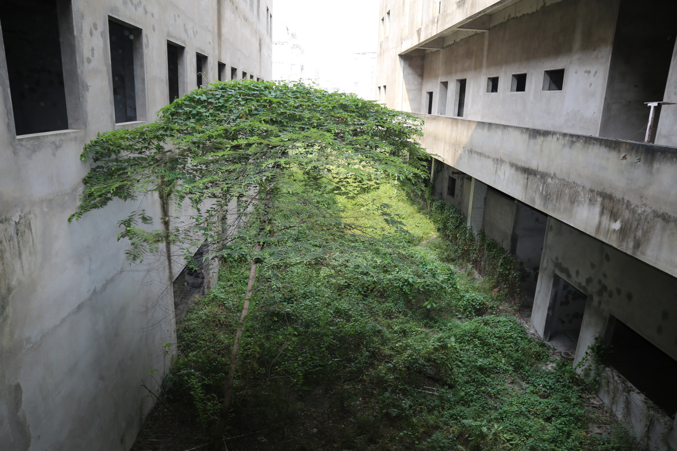 Hiện, lãnh đạo UBND TP. Cần Thơ, chủ đầu tư, nhà thầu đang bàn thảo phương án báo cáo Chính phủ tìm cách tháo gỡ những vướng mắc để dự án khởi động trở lại. Lãnh đạo Chính phủ cũng có nhiều cuộc kiểm tra, làm việc để tháo gỡ cho dự án này.