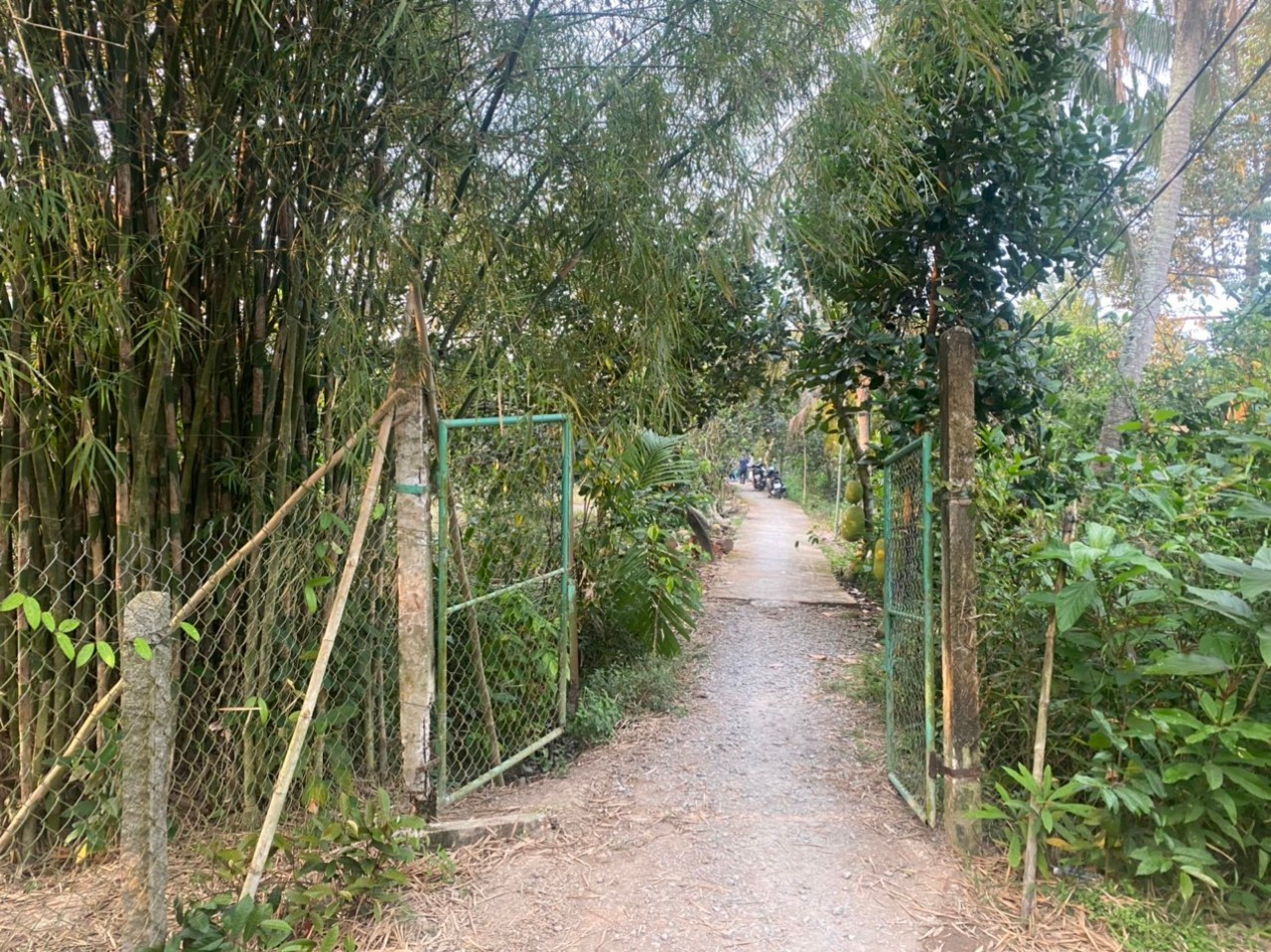 Hiện trường nơi xảy ra vụ việc.