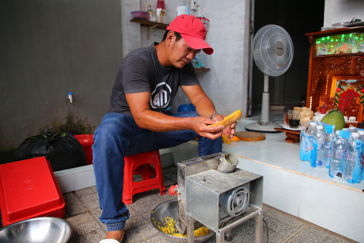 Về thức ăn, rồng Nam Mỹ là loài ăn chay, thức ăn của chúng thường là rau củ, phải rửa sạch và cắt nhỏ. Theo anh Đạt, ngoài ánh sáng, nhiệt độ và chủng loại, thức ăn cũng là yếu tố ảnh hưởng đến sắc tố trên da của rồng Nam Mỹ.