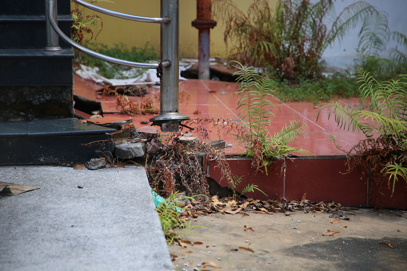 Do bỏ hoang nhiều năm, cổng sắt và hàng rào bên ngoài bong tróc gỉ sét theo thời gian.