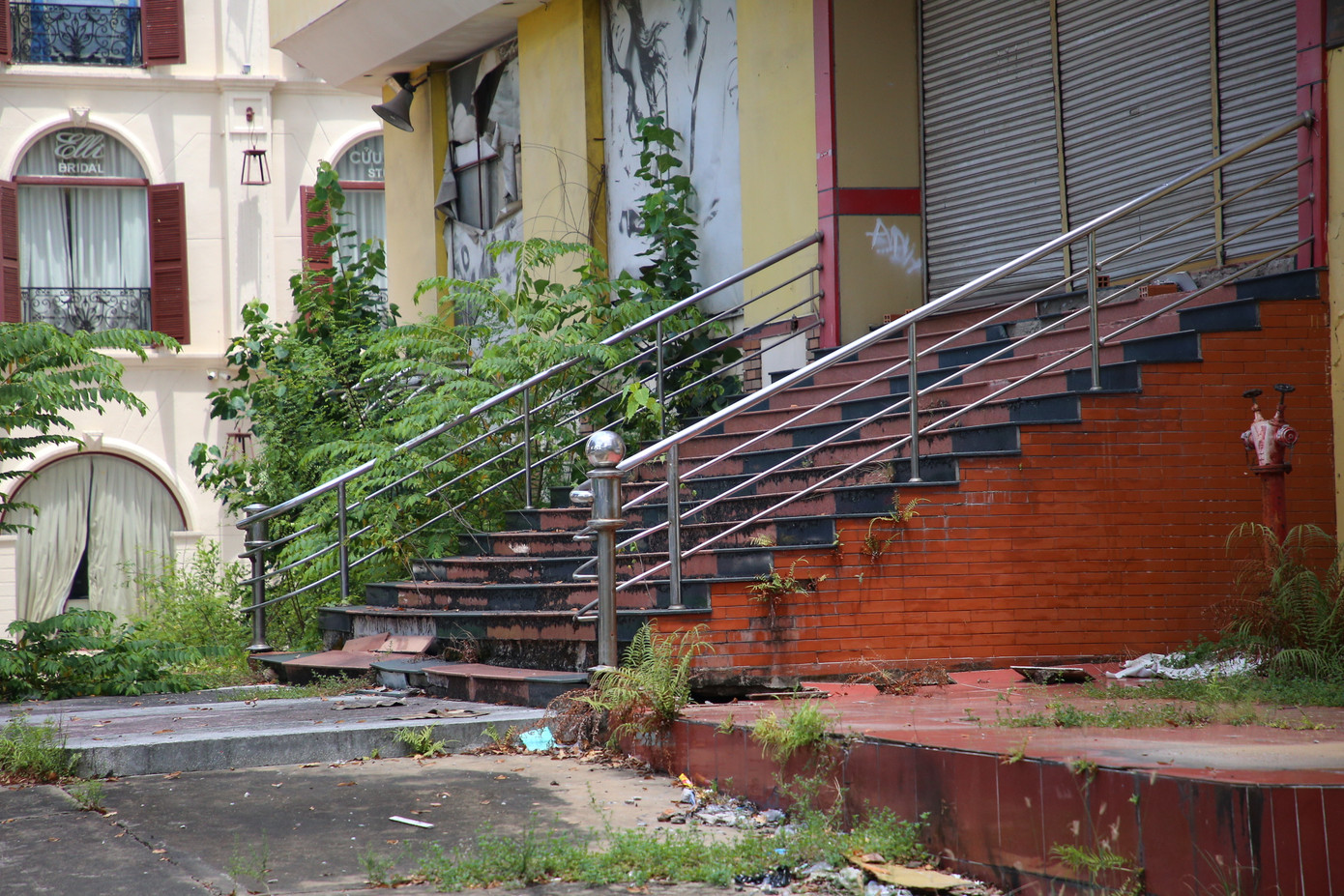 Cỏ mọc um tùm, rêu bám đầy sân cho đến bậc thềm.