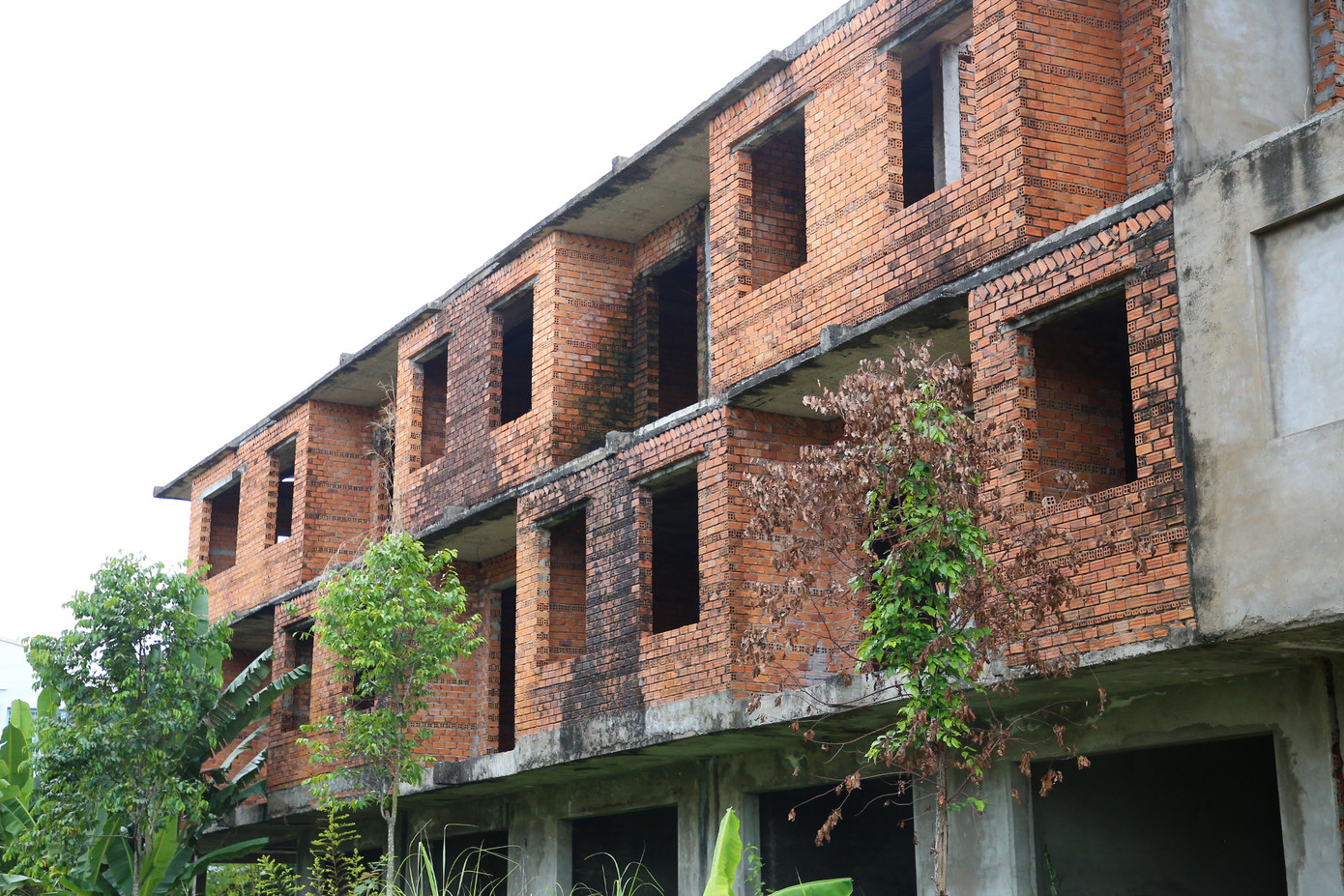 Nhiều biệt thự xây thô, xuống cấp theo thời gian, phủ rêu phong.