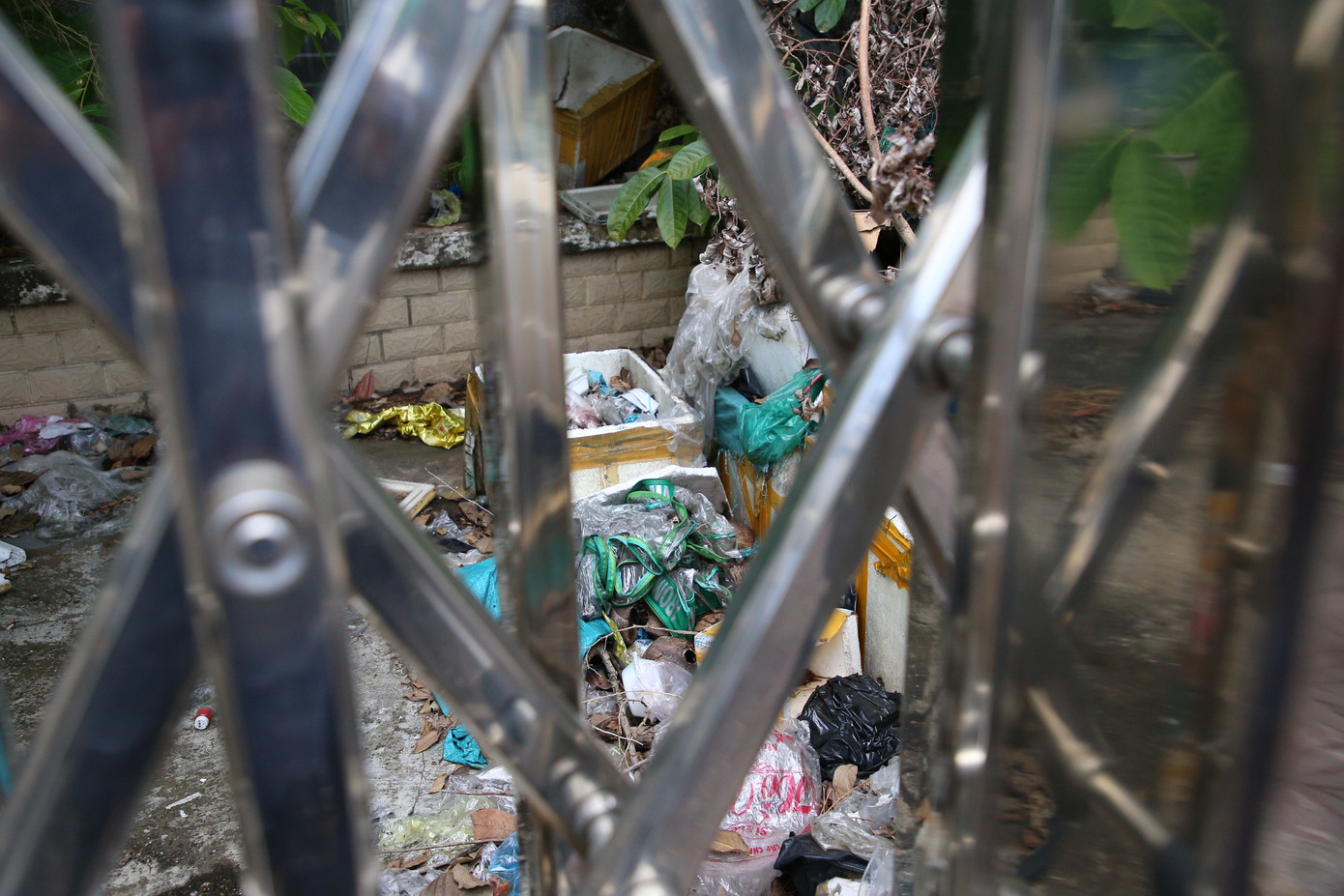 Rác vương vãi phía trước trụ sở. Hiện, tòa nhà không có người làm việc.