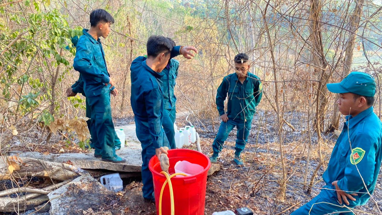Lực lượng tham gia chữa cháy rừng trên núi Cô Tô. Lực lượng tham gia chữa cháy rừng trên núi Cô Tô.