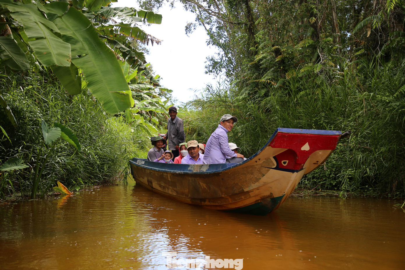 Du khách trải nghiệm 'ăn ong' rừng U Minh Hạ.