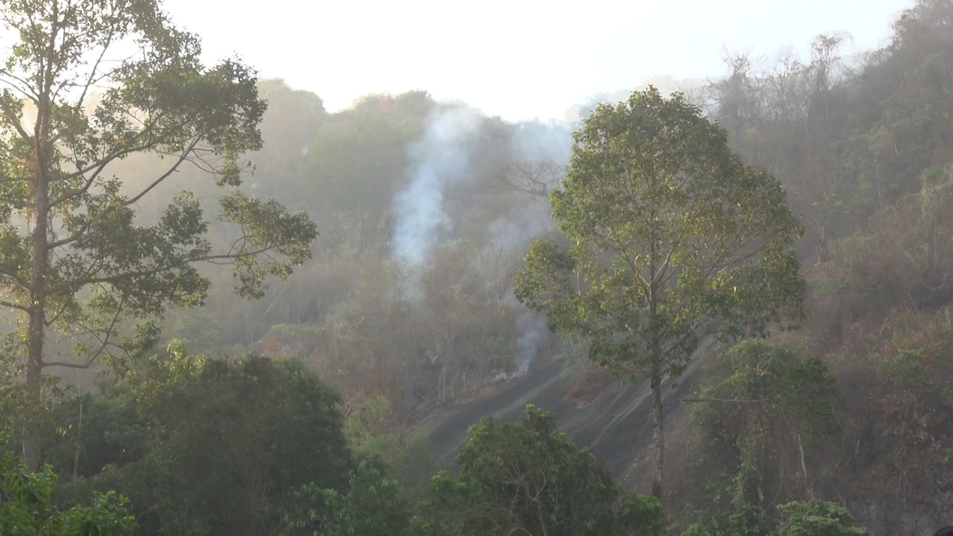Vụ cháy rừng núi Cô Tô cơ bản được khống chế. Vụ cháy rừng núi Cô Tô cơ bản được khống chế.
