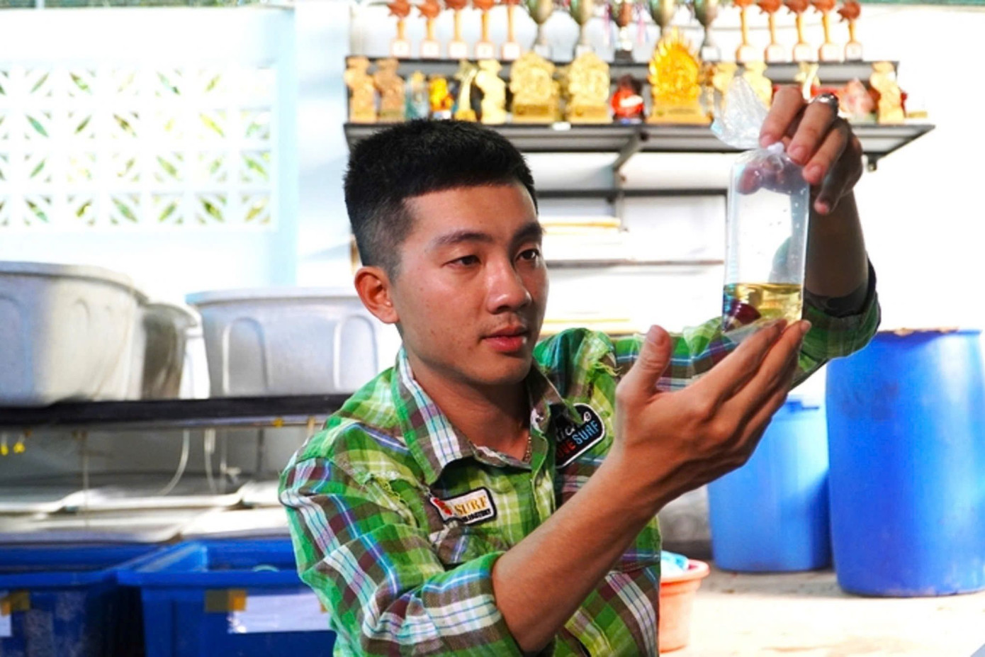 Năm 2017, anh Hải đầu tư hơn 5 triệu đồng mua giống cá Betta chất lượng để khởi nghiệp.