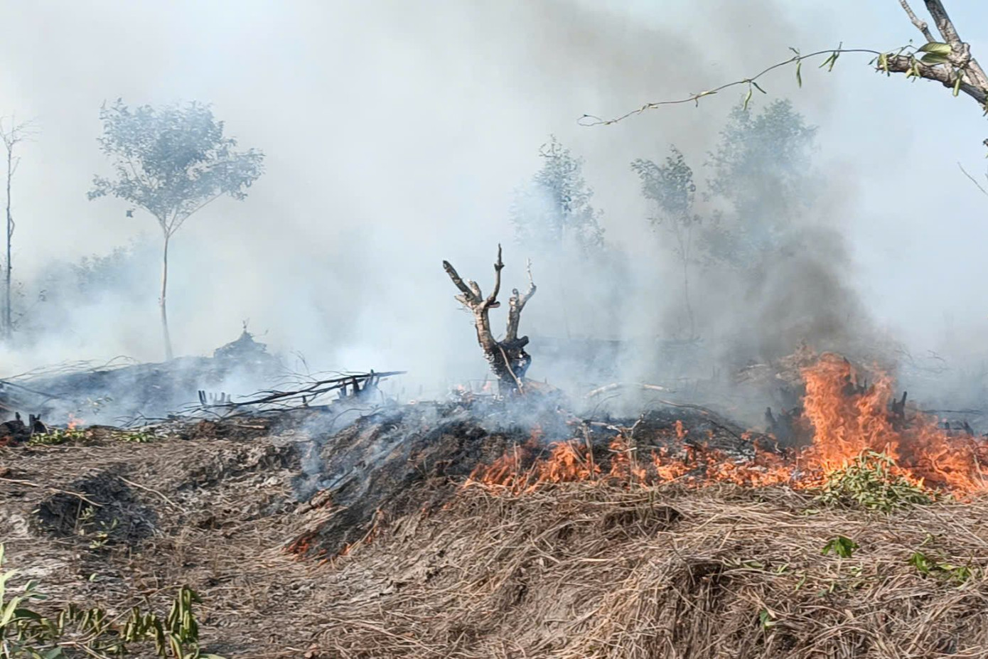 Hiện trường vụ cháy.